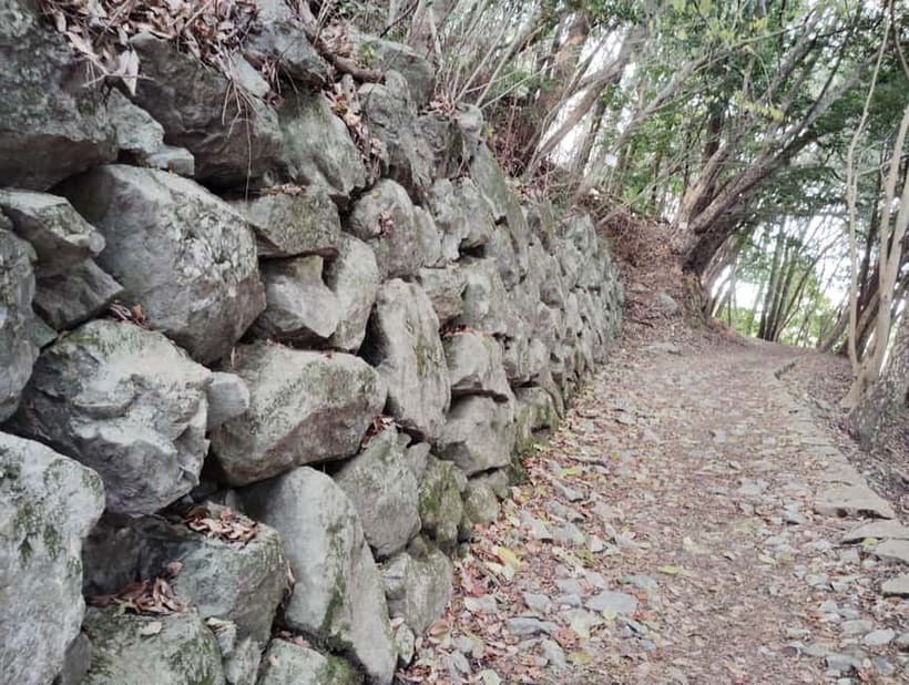 Kintai-Kyo Bridge and Iwakuni Castle with local guide 3h - Who should book this three-hour tour?