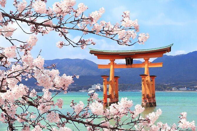 Luggage Pick NARITA or HANEADA airport & Deliver Tokyo 32 Ward - Is $980.06 good value for your group?