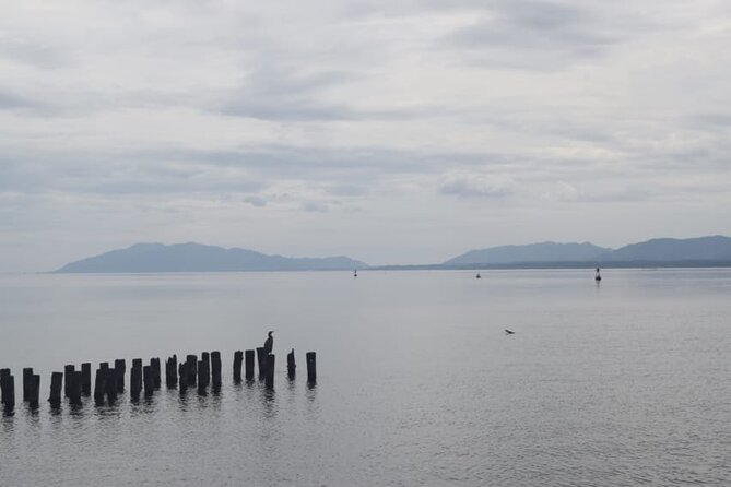 Matsue/Izumo Taisha Shrine Full-Day Private Trip with Government-Licensed Guide - Cruising the Horikawa moat