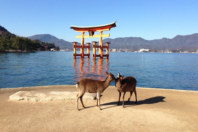 Miyajima full day tour - Key points at a glance