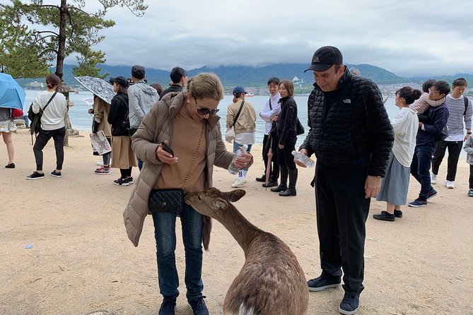 Miyajima Half-day Private Tour with Government Licensed Guide - What the guides add to the day