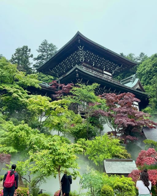 Miyajima Highlights: Itsukushima Shrine & Island Nature - What the $138 price really buys you