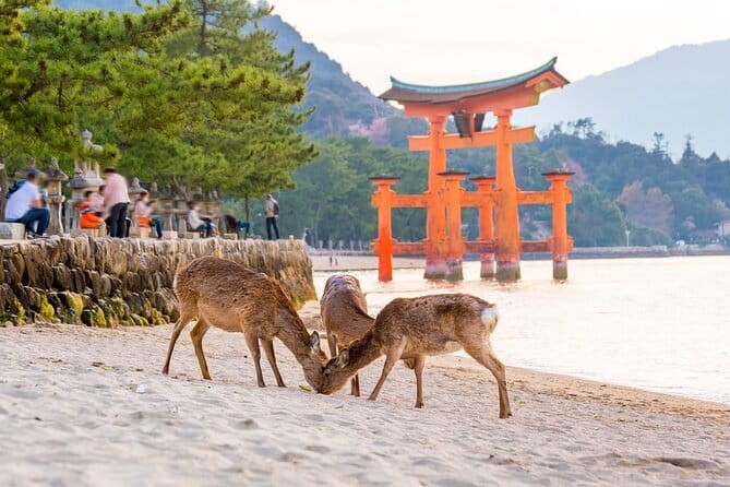 Miyajima Island Day Tour in Sacred Sites and Mount Misen - A gentle walk through Momijidani Park