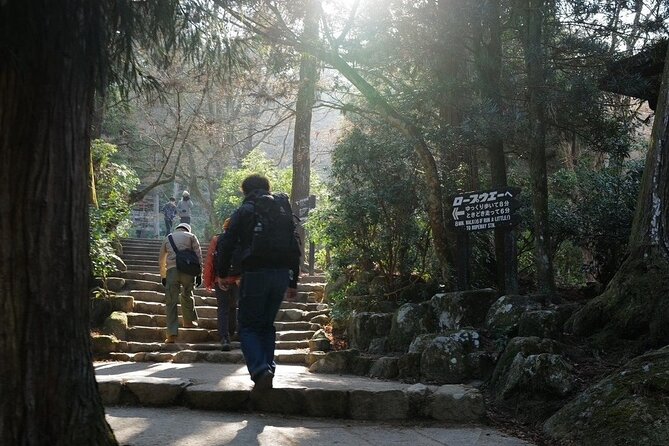Miyajima Island Tour with Certified Local Guide - What the $207.58 price really buys you