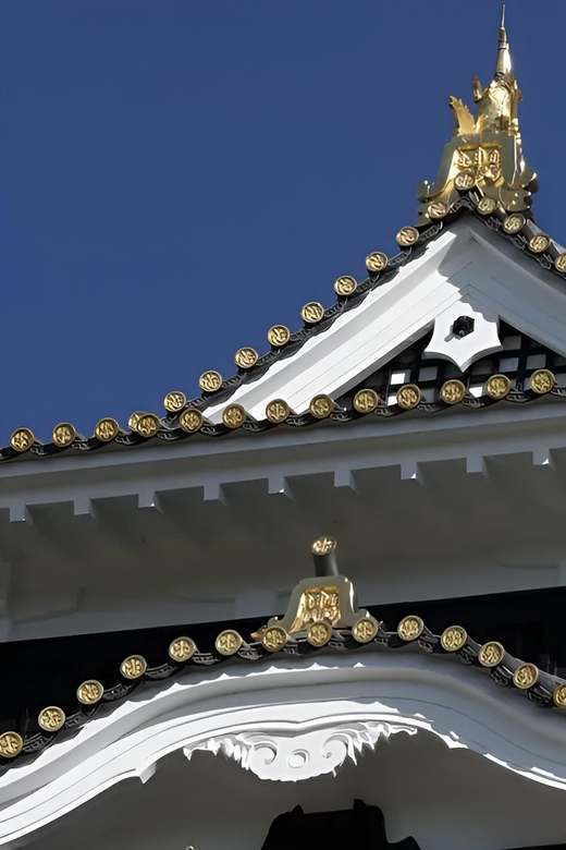 Okayama Castle Admission Ticket - Why Okayama Castle looks so different