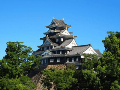 Okayama Castle Admission Ticket - Entering the tower and getting your bearings