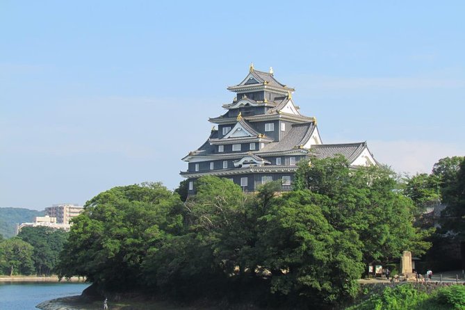 Okayama Full-Day Private Trip with Government-Licensed Guide - Key points to know before booking