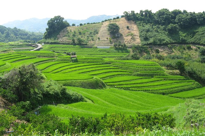 Okayama Full-Day Private Trip with Government-Licensed Guide - Nishigawa Canal Park for a light city stroll