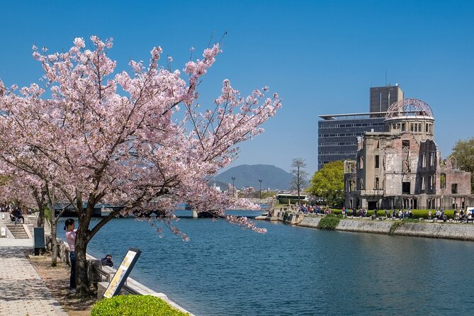 Private Hiroshima Cherry Blossom and Sakura Experience - Peace Memorial Park beneath the Sakura