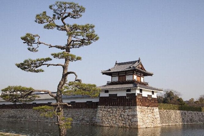 Private Sightseeing Walking Tour in Hiroshima with a Guide - Transport, Lunch, and Daily Practicalities