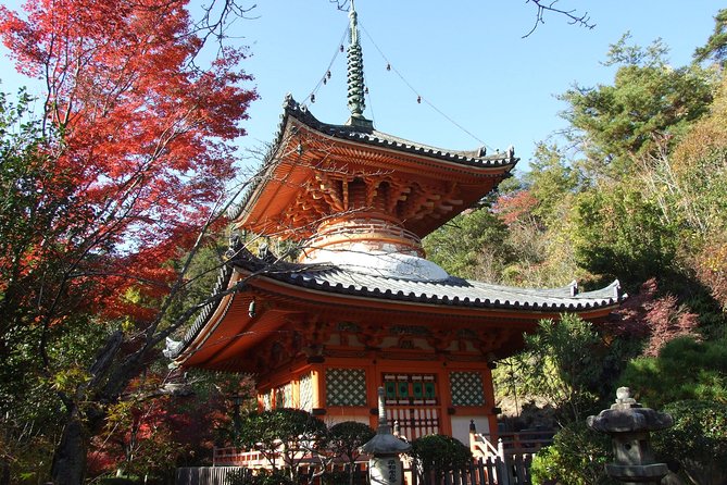 Private Sightseeing Walking Tour in Hiroshima with a Guide - Peace Memorial Park: The Heart of the Day