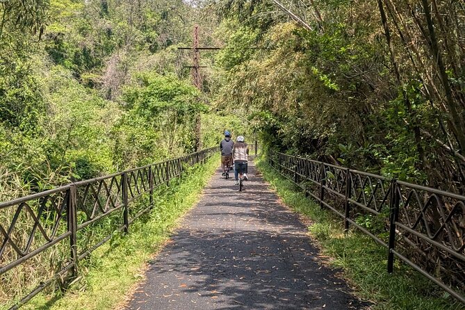 Seto Inland Sea Views & Kojima Denim: Private Cycling Tour (4h) - Riding the old Shimotsui railway path