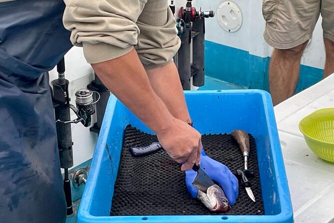 Setouchi Fishing and Culinary Adventure - From Kure’s Kotsubo Port to the Seto Inland Sea