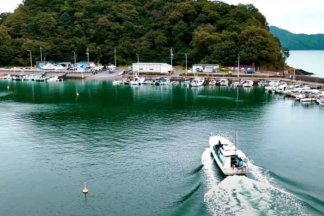 Setouchi Fishing and Culinary Adventure - The local eatery and the second half of the day