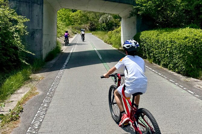 Shimanami Day Bike Tour: Fun for All, Great for Families - Returning by ferry to Onomichi