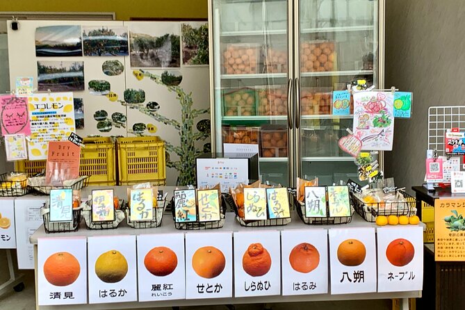 Shimanami Kaido, 1Day Relaxed Island Hopping Cycling Tour - Ikuchijima, citrus orchards, and a local ice cream stop