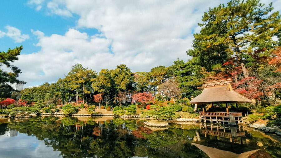 The Peace Memorial and Beyond: A Half-Day around Hiroshima - Walking, weather, and accessibility