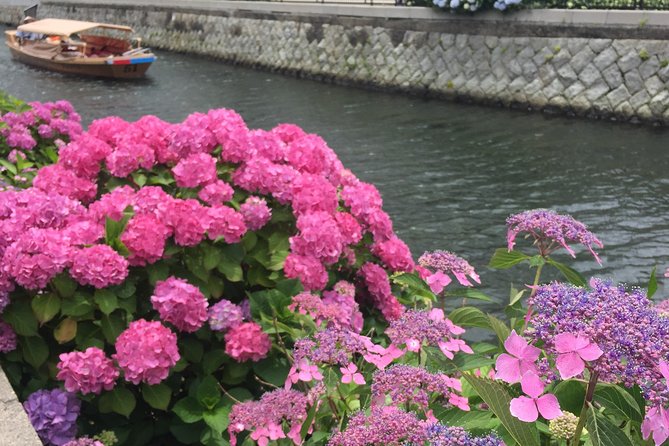 Tour around Matsue Horikawa - The roof-lowering bridges are the main event