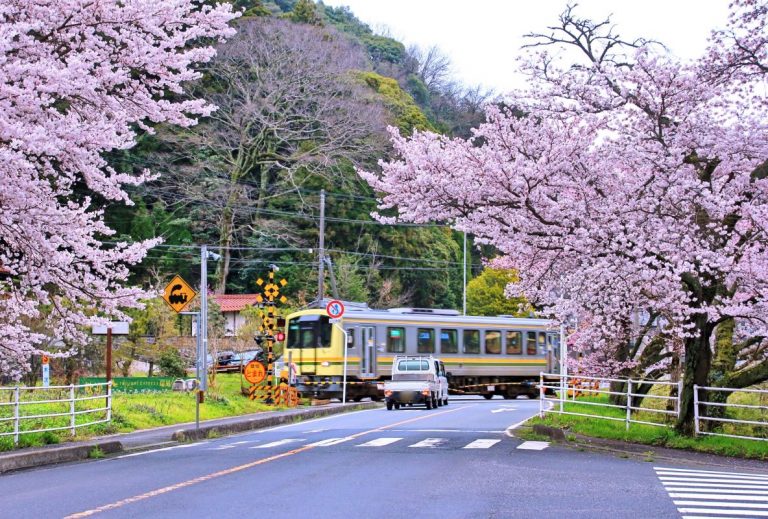 3 Unforgettable Inland Train Journeys Of Western Japan