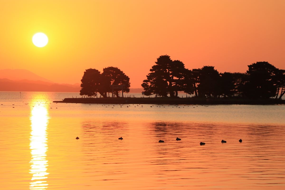 Lake Shinji At Sunset From Matsue City