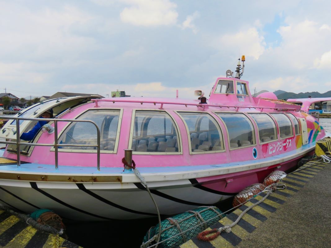 Oumijima Kanko Ship Pink Cetus
